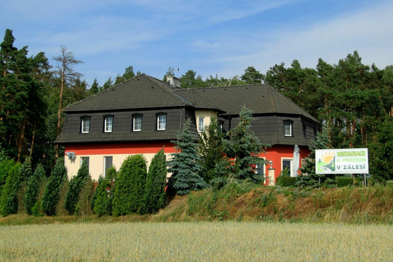 Penzion V Zalesi Hotel Mladá Boleslav Exterior foto